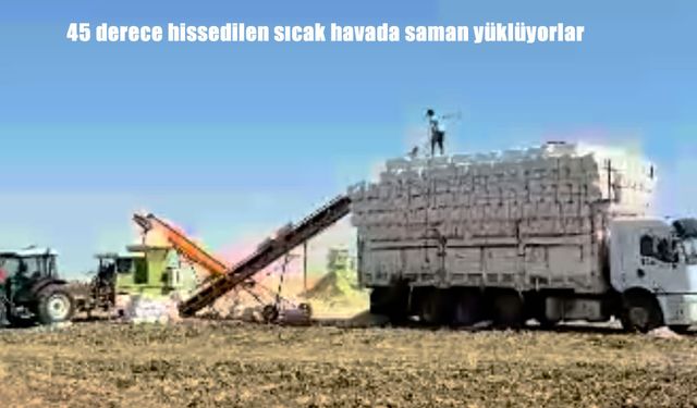 Diyarbakır Ovası’nda 45 Derece Sıcakta Saman Mesaisi: Emek, Ter ve Ekmek Mücadelesi