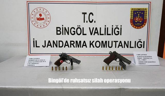 Bingöl’de Ruhsatsız Silah Operasyonu: 2 Kişi Gözaltında