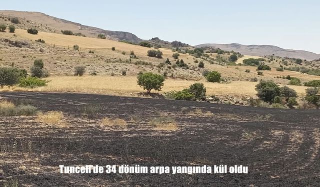 Tunceli’de Arazide Korkutan Yangın: 34 Dönüm Arpa Tarlası Kül Oldu