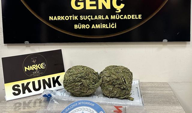 Bingöl'de uyuşturucu operasyonunda 1 zanlı tutuklandı