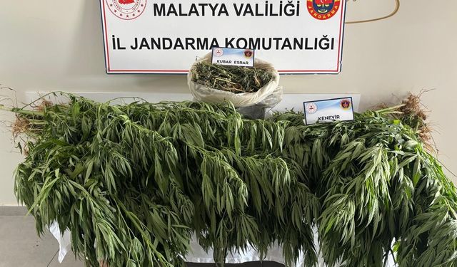Malatya’da Jandarmadan Uyuşturucuya Geçit Yok: Yeşilyurt’ta Kenevir ve Esrar Ele Geçirildi