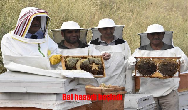 Bitlis Eren Üniversitesinde yüksek kaliteli bal hasadı başladı