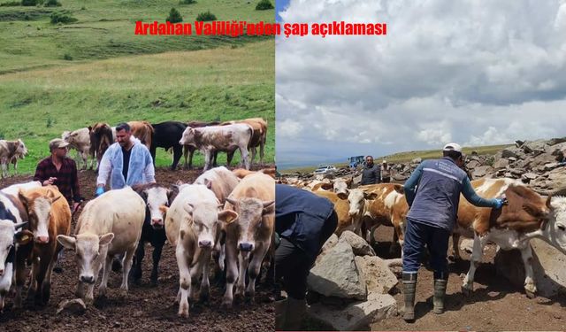Ardahan’da Şap Alarmı: 45 Yerleşim Yerinde Karantina Uygulaması Başlatıldı