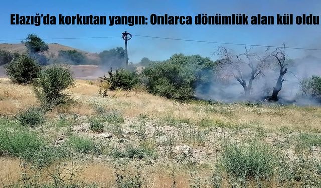Elazığ Keban’da Çıkan Yangın Korkuttu