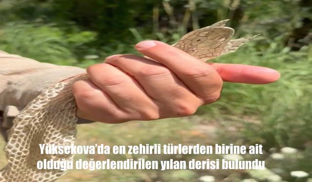 Doğa Gözlemcisi Ümit Bartın’dan Yüksekova’da Eşsiz Keşif