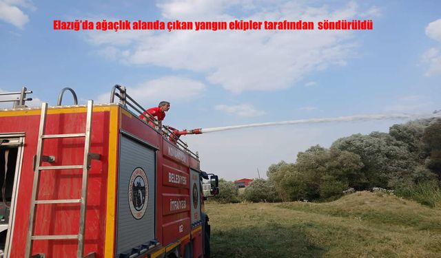 Elazığ Kovancılar’da Ağaçlık Alanda Yangın Paniği
