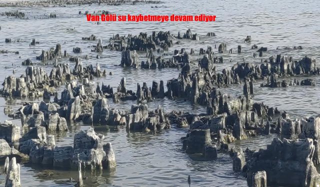 Van Gölü Çekilmeye devam ediyor