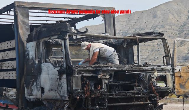Erzurum-Artvin Karayolunda Gürcü Plakalı Tır Alev Topuna Döndü
