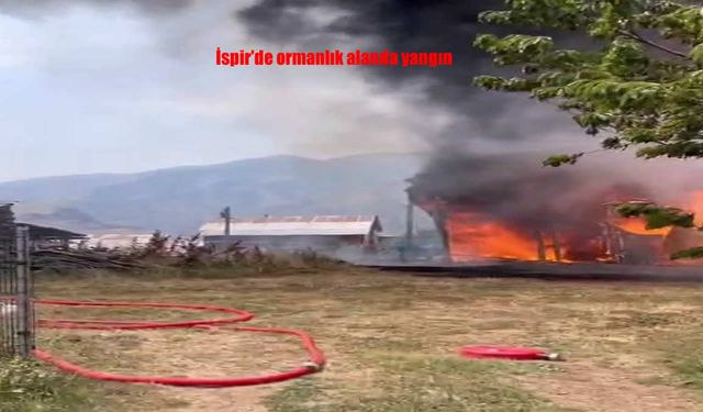 Erzurum İspir'de Ormanlık Alanda Korkutan Yangın