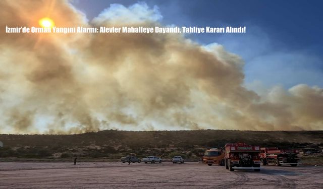 İzmir’de Orman Yangını Alarmı: Alevler Mahalleye Dayandı, Tahliye Kararı Alındı!