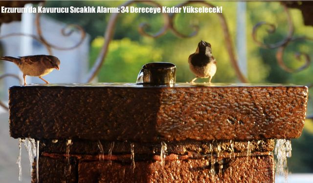 Erzurum’da Kavurucu Sıcaklık Alarmı: 34 Dereceye Kadar Yükselecek!