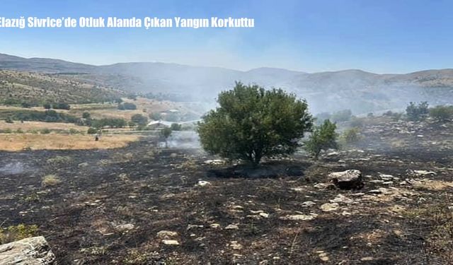 Elazığ Sivrice’de Otluk Alanda Çıkan Yangın Korkuttu