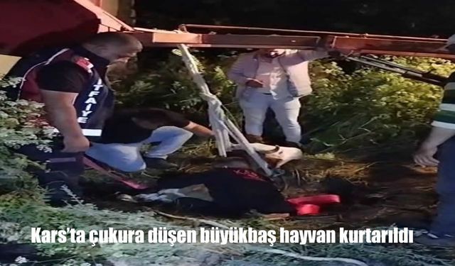 Kars’ta Ekipler Zamanla Yarıştı