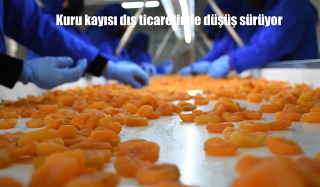 Kuru kayısı dış ticaretinde düşüş sürüyor