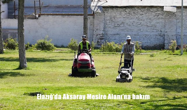 Elazığ’da Aksaray Mesire Alanı’nda Kapsamlı Bakım