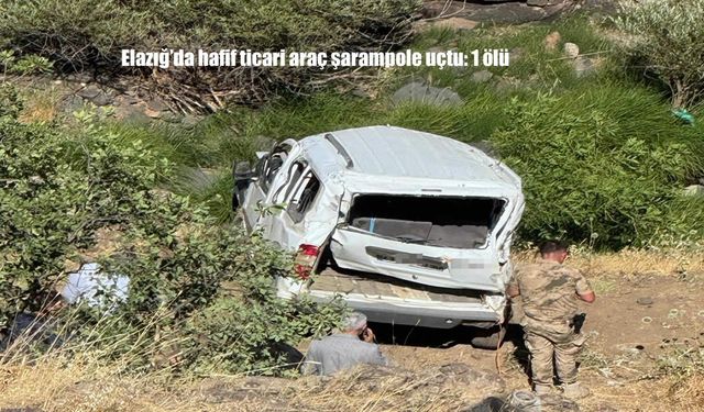Elazığ'da hafif ticari araç şarampole uçtu: 1 ölü