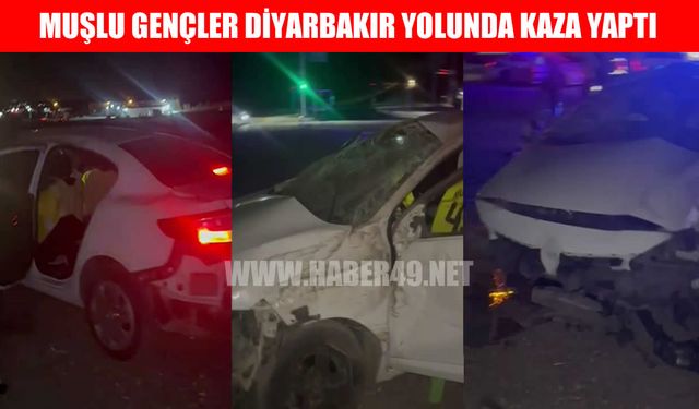 Muş-Diyarbakır kara yolunda kaza: 5 yaralı