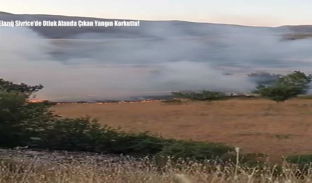 Elazığ Sivrice’de Otluk Alanda Çıkan Yangın Korkuttu!