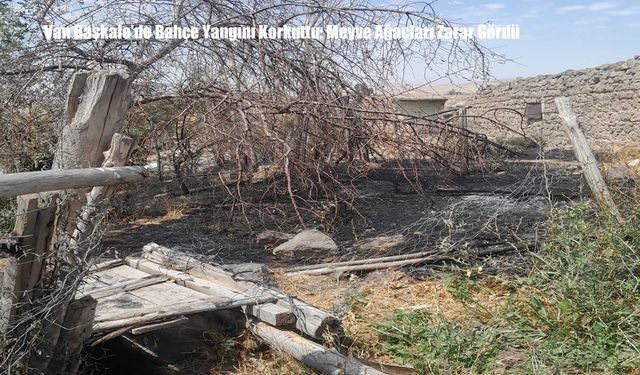 Van Başkale’de Bahçe Yangını Korkuttu: Meyve Ağaçları Zarar Gördü