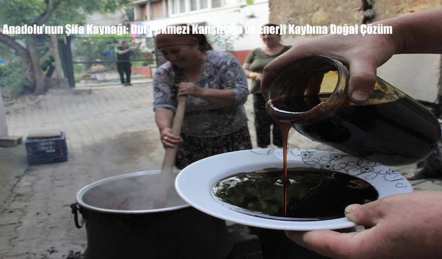 Anadolu’nun Şifa Kaynağı: Dut Pekmezi Kansızlığa ve Enerji Kaybına Doğal Çözüm