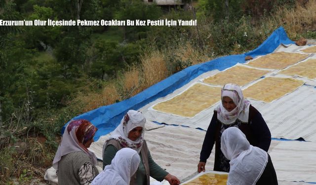 Erzurum’un Olur İlçesinde Pekmez Ocakları Bu Kez Pestil İçin Yandı!