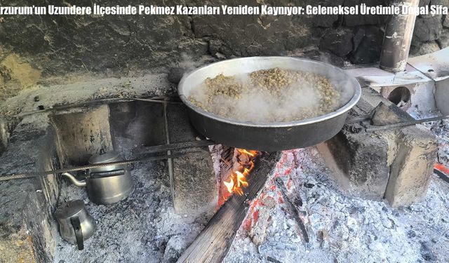 Erzurum’un Uzundere İlçesinde Pekmez Kazanları Yeniden Kaynıyor: Geleneksel Üretimle Doğal Şifa