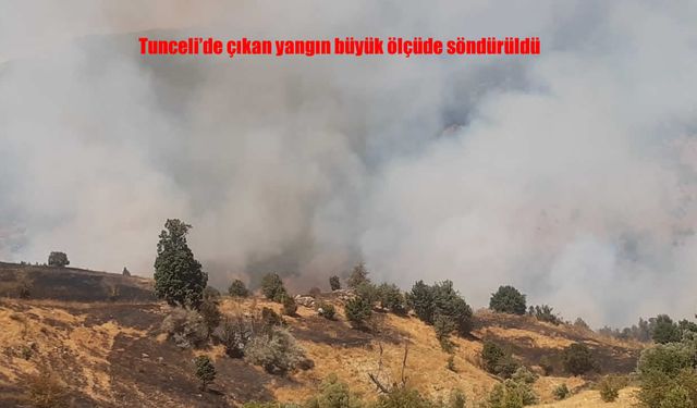 Tunceli’nin Hozat İlçesinde Otluk Alanda Başlayan Yangın Korkuttu