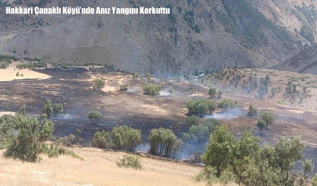 Hakkari Çanaklı Köyü’nde Anız Yangını Korkuttu