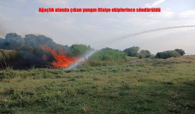 Elazığ Kovancılar’da Ağaçlık Alanda Korkutan Yangın: Ekipler Müdahale Etti