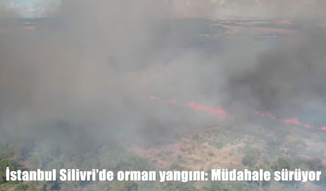 Silivri Çanta’da orman yangını: Müdahale havadan ve karadan devam ediyor