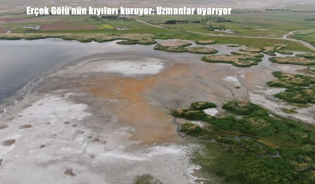 Van'ın doğal güzelliği tehlikede: Erçek Gölü'nde kuruma alarmı