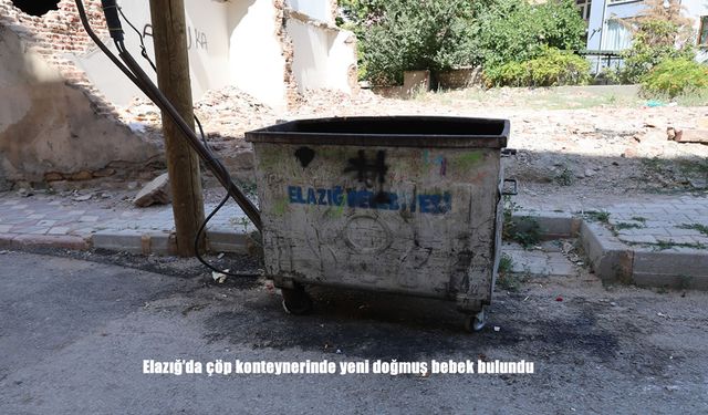 Çöpten Gelen Bebek Ağlaması Mahalleliyi Harekete Geçirdi