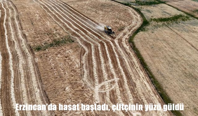 Erzincan’da buğday ve arpa hasadı başladı: Rekolte yüz güldürdü