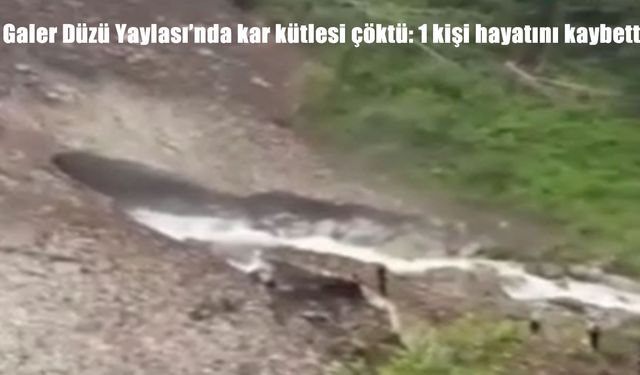 Rize’de Galer Düzü Yaylası’nda kar kütlesi çöktü: 1 kadın hayatını kaybetti