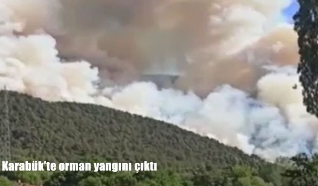 Karabük’te orman yangını: Alevler kontrol altına alınmaya çalışılıyor