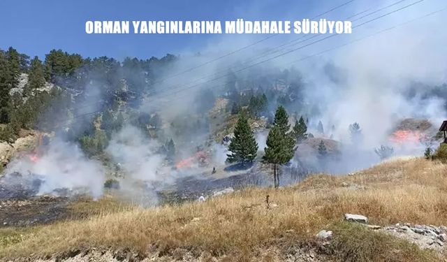 Türkiye’nin bir çok noktasında orman yangınlarıyla mücadele sürüyor