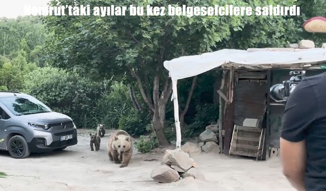 Nemrut Krater Gölü'nde belgesel çeken ekibe ayı saldırısı