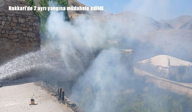 Hakkari’de son haftada 10 anız yangınına müdahale edildi