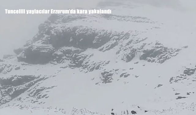 Tuncelili Yaylacılar Erzurum’da yaz ortasında yoğun karla karşılaştı