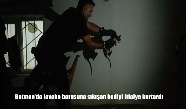 Batman’da lavabo borusuna sıkışan kediyi itfaiye kurtardı