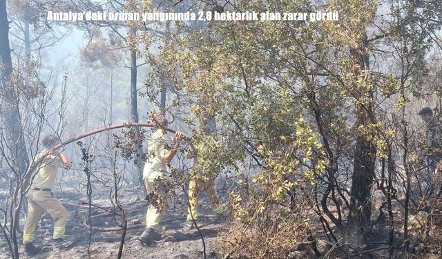 Antalya Kaş’ta orman yangını kontrol altına alındı: 2,8 hektar alan zarar gördü