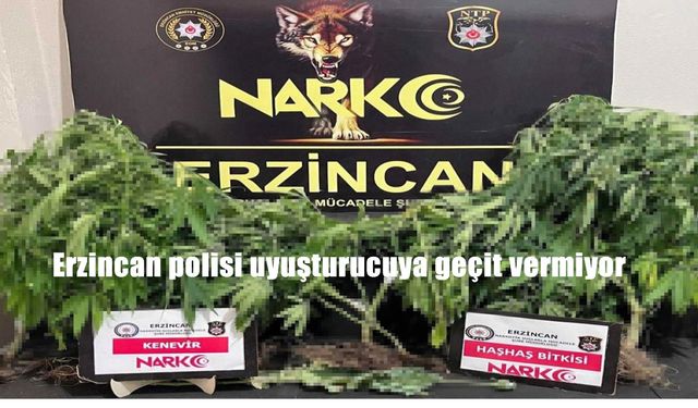 Erzincan’da uyuşturucu operasyonu: Kenevir ve haşhaş ele geçirildi