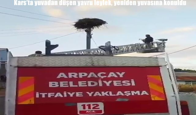 Kars’ta yuvadan düşen yavru leylek itfaiye ekipleri tarafından kurtarıldı