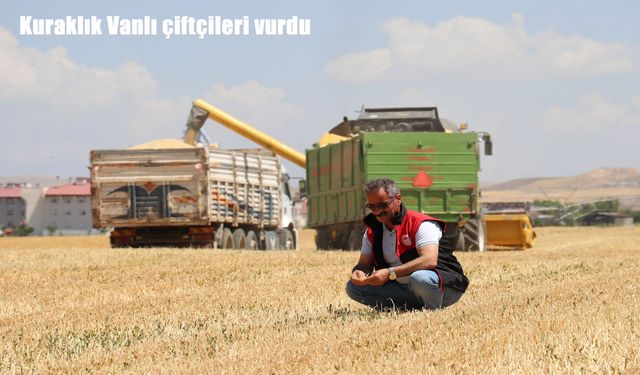 Kuraklık Van’da tarımı vurdu: Çiftçi zarar etti, destek bekliyor