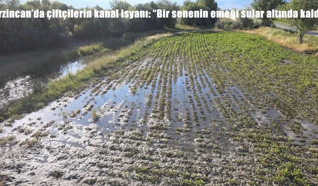Erzincan’da sulama kanalı taştı, tarlalar sular altında kaldı: çiftçiler çözüm bekliyor