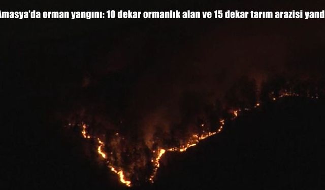 Amasya Taşova’da orman yangını: 25 dekarlık alan zarar gördü