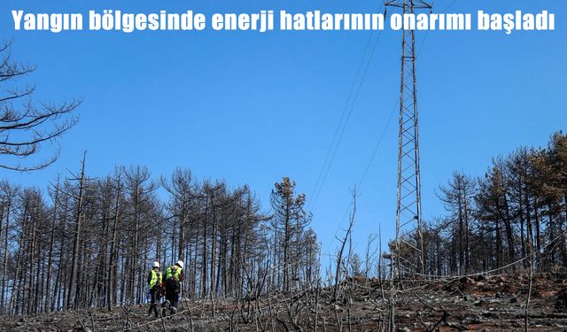 Bursa’daki yangın bölgelerinde enerji hattı onarımları başladı