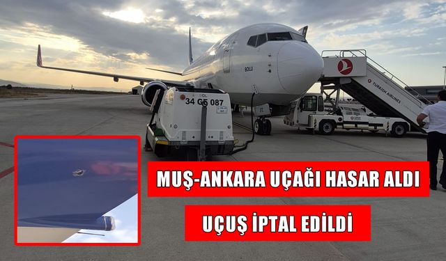 Muş-Ankara uçağına merdiven çarptı: Sefer iptal edildi
