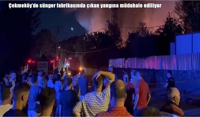 Çekmeköy’de sünger fabrikasında yangın çıktı: Müdahale devam ediyor