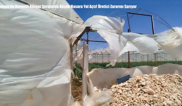 Mersin’de Kuvvetli Rüzgar Seralarda Büyük Hasara Yol Açtı! Üretici Zararını Sarıyor